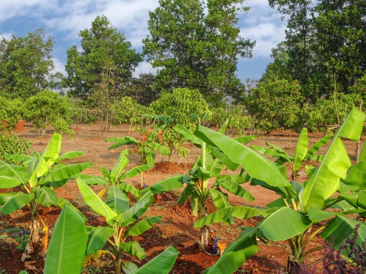 לינה וארוחת בוקר Bhom Aarya Farm מראה חיצוני תמונה