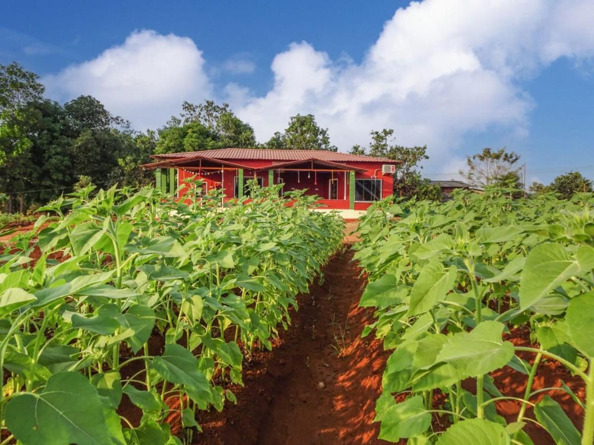 לינה וארוחת בוקר Bhom Aarya Farm מראה חיצוני תמונה